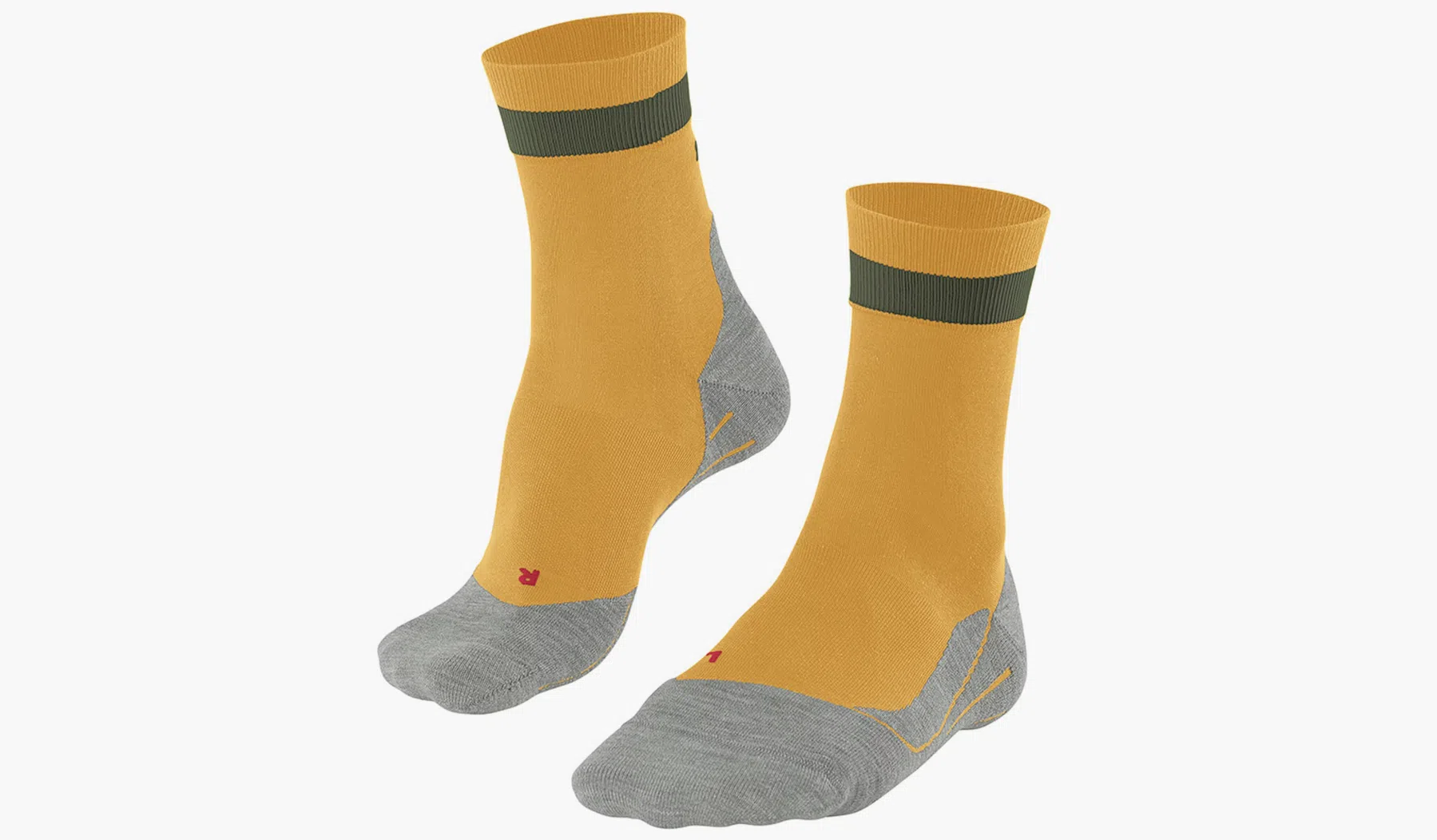 Ondersteunend beeld bij het artikel